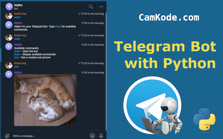 Building a Telegram Bot with Python: A Step-by-Step Guide