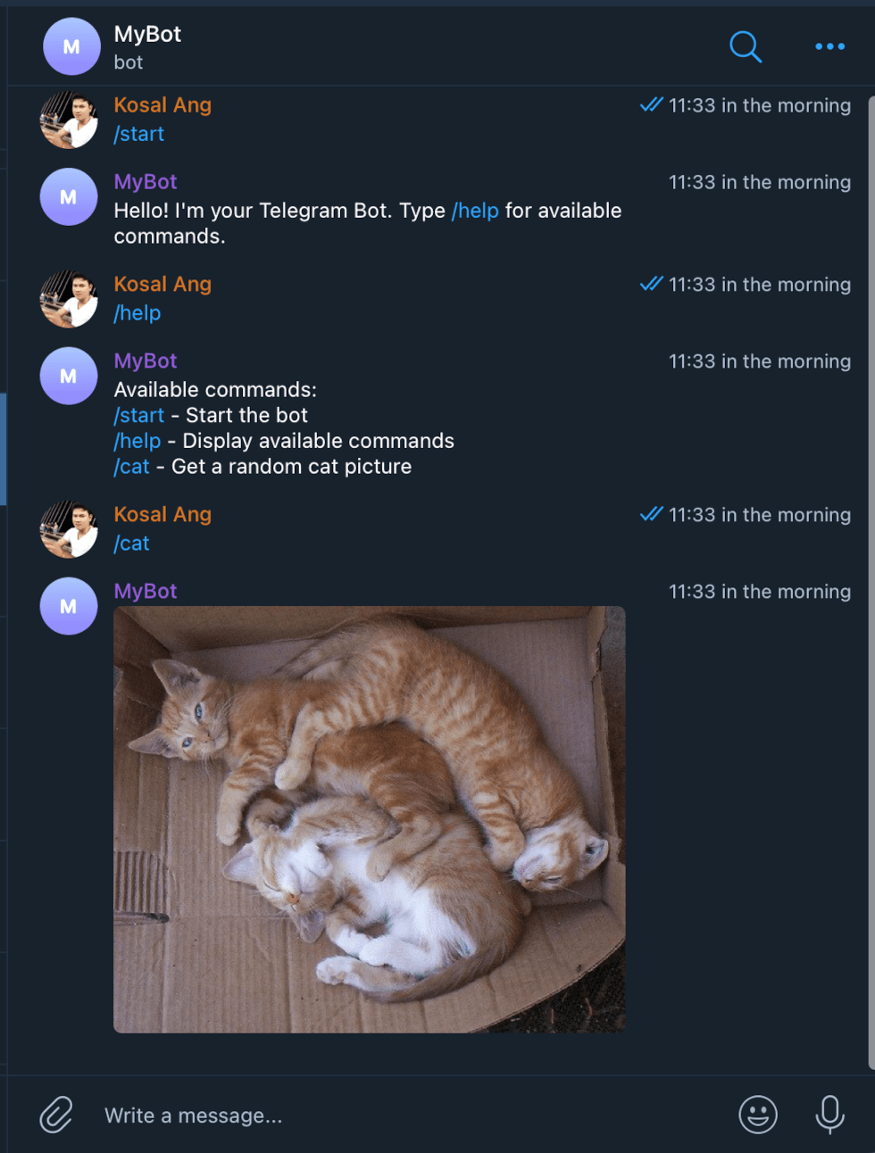 Telegram bot {980x1292}